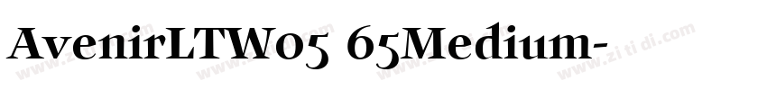 AvenirLTW05 65Medium字体转换